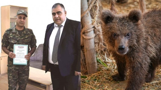 Արջի քոթոթին փրկած ՊՆ զինծառայողը պարգևատրվել է