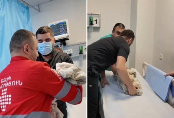 Врачи приемной медцентра 