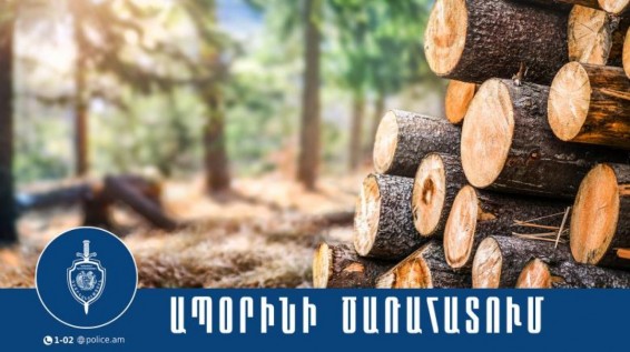 Բացահայտվել է ապօրինի անտառահատում