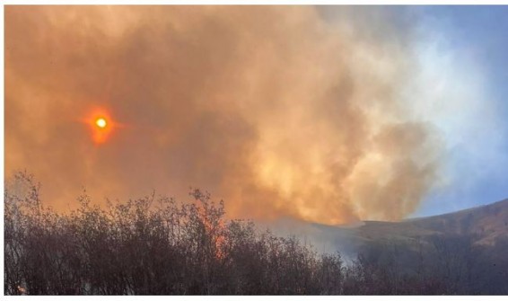 По следам крупных пожаров в Армении — какой вред нанесен экологии