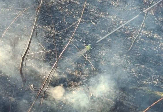 В Спасательной службе рассказали о ситуации с пожарами в Дилижане