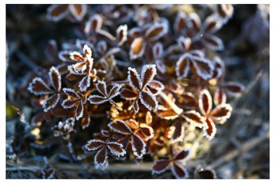 В конце этого года будет запущен грузовой поезд Исламабад-Тегеран-Стамбул