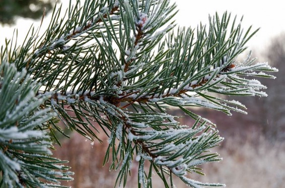 В Армении похолодает до 15 градусов мороза