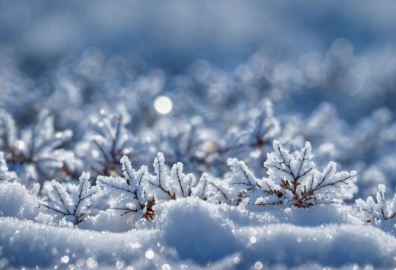 20-градусные морозы и несколько снежных дней ожидаются в Армении