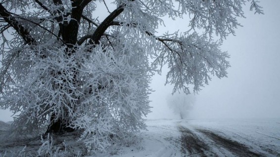 Եվրամիություն ռուսական գազի մատակարարումները «Թուրքական հոսքով» հասել են պատմական առավելագույնին
