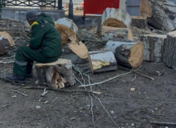 «Ծավալուն աշխատանքներ են տարվել կանաչապատման ոլորտում». Քաղաքապետարան