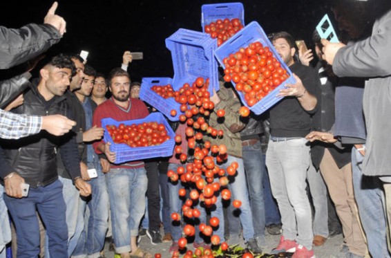 Թուրքական լոլիկի ճգնաժամ Անթալիայում. ֆերմերները հրաժարվում են համագործակցել իշխանությունների հետ