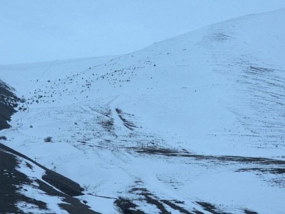 Հանրապետության մի շարք շրջաններում ձյուն է տեղում