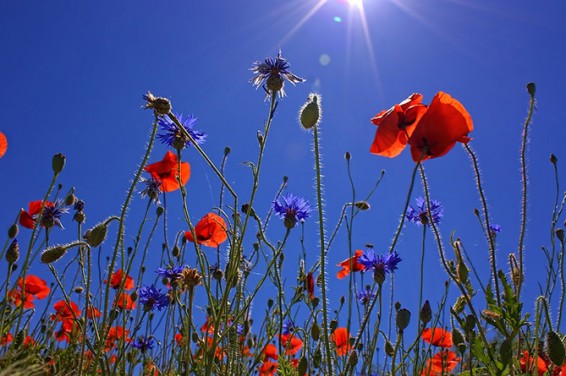 Օդի ջերմաստիճանն աստիճանաբար կբարձրանա 4-8 աստիճանով