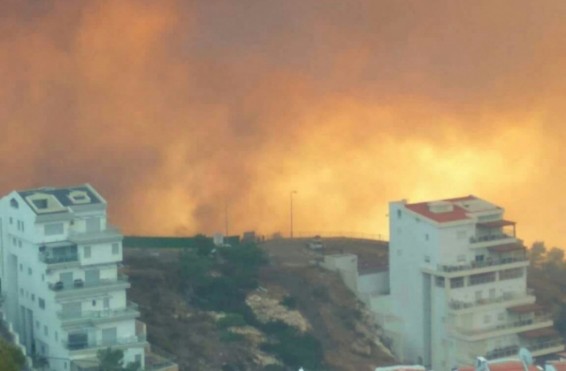 Իսրայելի հրդեհները հաջողվել է մարել. ձերբակալվել է 35 մարդ