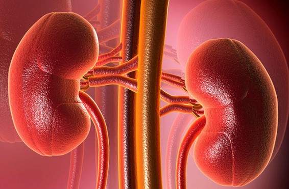 Եթե նկատել եք այս նախանշանները՝ անմիջապես ստուգեք երիկամները