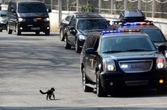 Ստամբուլում Էրդողանի ավտոշարասյունը վթարի է ենթարկվել