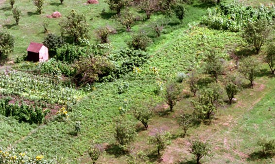 Գյուղացուն մասնագիտական գիտելիքով օժտելը՝ օրվա հրամայական