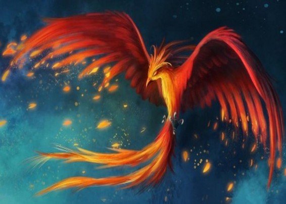 Աքլորի տարվա գույնը