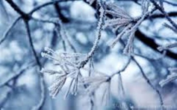 Եղանակը Հայաստանում