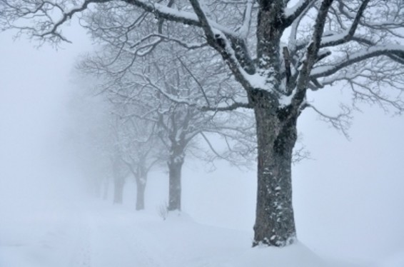 Ինչ եղանակ է սպասվում առաջիկա օրերին