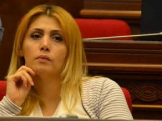 Էլինար Վարդանյանն հանդես է եկել հայտարարությամբ