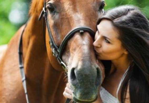 Ավստրալիայում պարզել են որն է մենավտանգավոր կենդանին