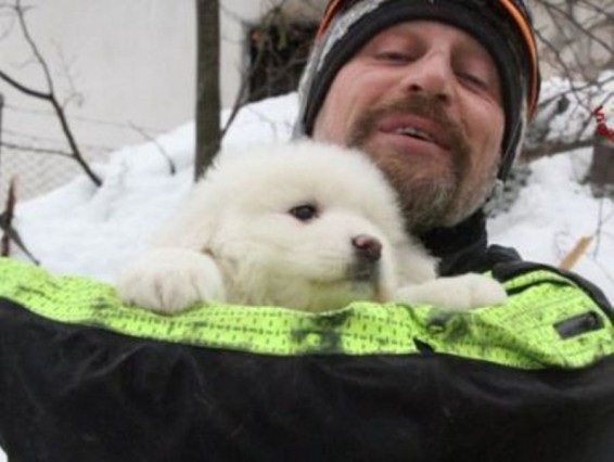 Իտալիայում հյուրանոցի փլատակների տակից շան երեք ձագերի են փրկել