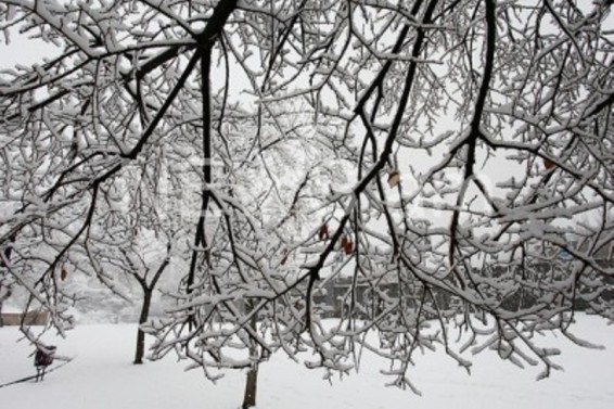 Եղանակը Հայաստանում