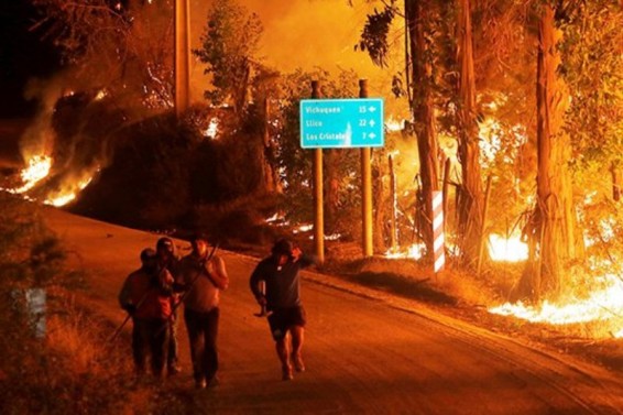 Չիլիում սոսկալի անտառային հրդեհները 6 մարդու կյանք են խլել