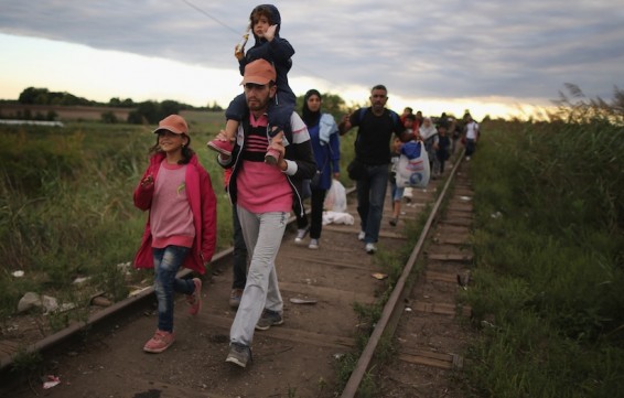 Մեծ Բրիտանիայում փախստականներին բնակեցնում են առնետներով ու միջատներով լի տներում. զեկույց