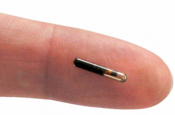 Բելգիայում ընկերությունն աշխատակիցներին մաշկի տակ տեղակայվող չիպեր է տրամադրել