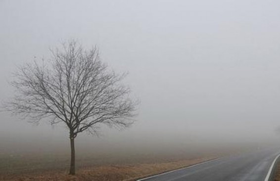 Փակ է Բերդ-Ճամբարակ ավտոճանապարհը, Արարատի մարզում մառախուղ է