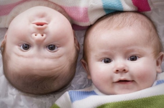 Փետրվարի 3-9-ը մայրաքաղաքում ծնվել է 376 երեխա