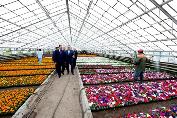 Քաղաքապետ Տարոն Մարգարյանը ներկայացրել է Երևանի կանաչապատմանն ուղղված առաջիկա ծրագրերը