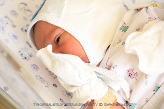 Փետրվարի 3-9-ը մայրաքաղաքում ծնվել է 376 երեխա