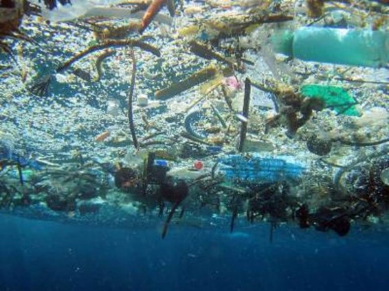 Մինչեւ 2050թ․ համաշխարհային օվկիանոսում ավելի շատ պլաստիկ կլինի, քան ձուկ