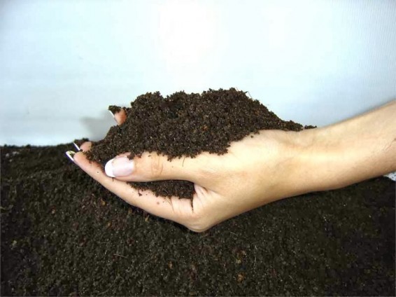 Հողի մեջ հայտնաբերված նյութերը կօգնեն տուրբերկուլոզի բուժման հարցում