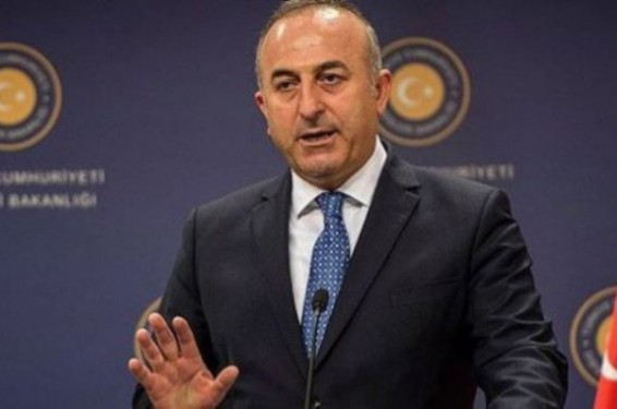 Ես Գերմանիային նացիստական երկիր չեմ անվանել. Չավուշօղլու