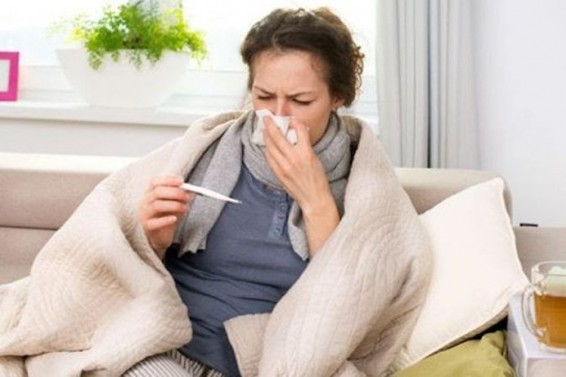 Հանրապետությունում շրջանառվում է գրիպի B տեսակը