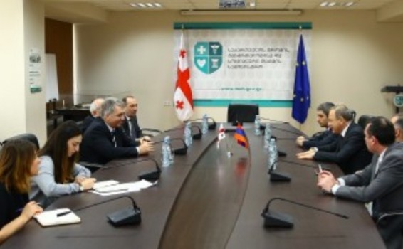 Վրաստանում քննարկվել են առողջապահության ոլորտի ֆինանսավորման, կառավարման և այլ հարցեր