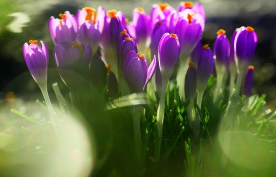 Եղանակը Հայաստանում