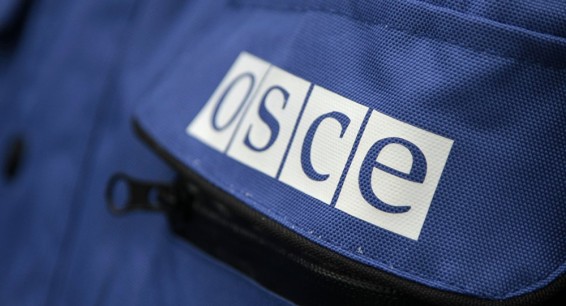 Глава миссии ОБСЕ: выборы в Армении были хорошо организованы