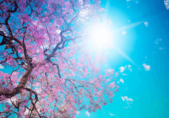 Եղանակը Հայաստանում