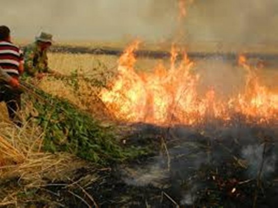 Հրդեհներ խոտածածկ տարածքներում