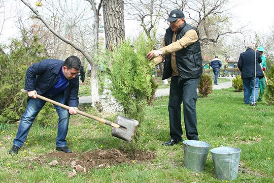 Գարնանային ծառատունկի ընթացքում մայրաքաղաքում կտնկվի շուրջ 17 000 ծառ, 2000 թուփ և 20 000 վարդի թուփ