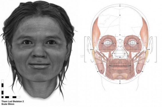 Գիտնականները պարզել են` ինչպիսի տեսք են ունեցել կանայք 13 հազար տարի առաջ