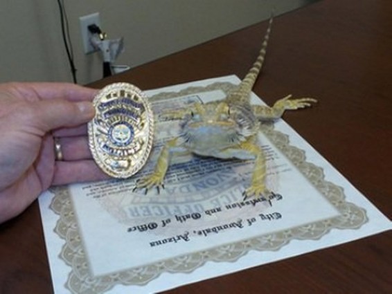 ԱՄՆ-ում մողեսը ոստիկանության սպա է դարձել