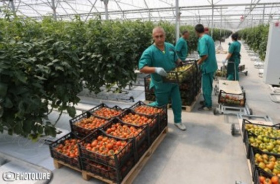 «Սպայկա» ընկերությունն այս տարի ավելի քան 70 մլն դոլարի ներդրում կանի