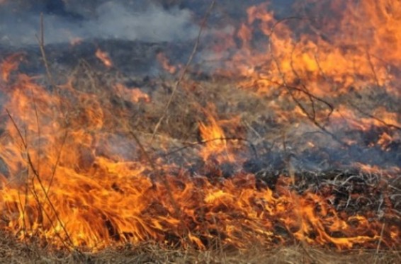 Հրդեհներ խոտածածկ տարածքներում