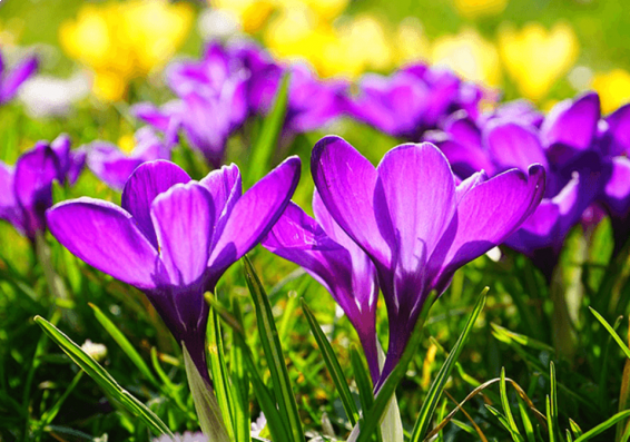 Եղանակը Հայաստանում