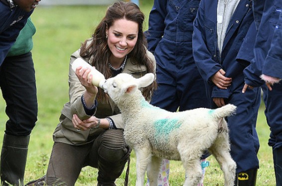 Քեմբրիջի դքսուհին ֆերմայում՝ գառնուկներին կերակրելիս
