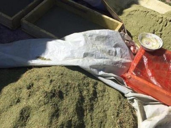 Ղազախստանում թմրանյութերի մատակարարման խոշոր ալիք է ոչնչացվել