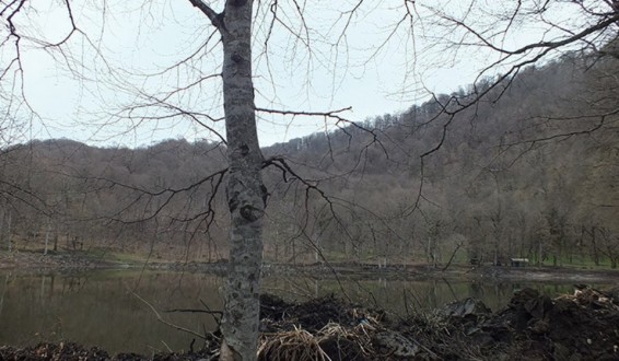 Հաշվառման գործընթացում է գտնվում Գոշի տարածքում պատճառված վնասը. բնապահպանության նախարար