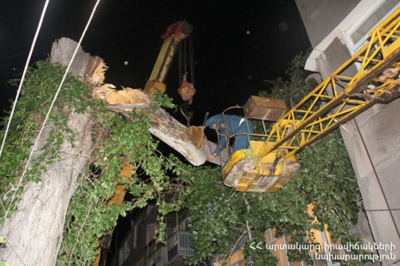 ЧП в центре Еревана: огромный тополь обрушился на балкон жилого дома